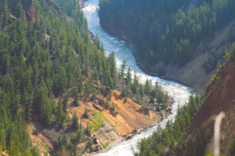 La rivière Yellowston serpente
